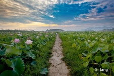 [간단 출사기]   2012 여름 휴가 - 자유게시판 출사코리아