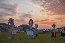 경남 김해 진영 봉화마을 앞. - 자유게시판 출사코리아