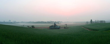 안성목장 대박일 줄 알았다. - 자유게시판 출사코리아