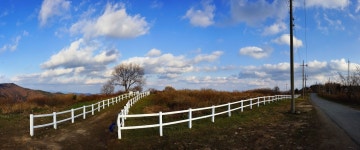 최정산 포니목장,,,,,,,,, 구름 좋은날... - 자유게시판 출사코리아