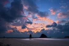 오늘 꽃지 - 자유게시판 출사코리아