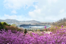 부천원미산 - 자유게시판 출사코리아