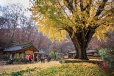 15일(일요일) 운곡서원 - 자유게시판 출사코리아