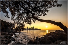 동백섬에서 - 자유게시판 출사코리아