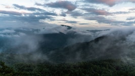 쪽박당 하계 단합대회 성황리에 잘 마쳤습니다. - 자유게시판 출사코리아
