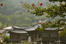 이제는 서서히 ,,, - 자유게시판 출사코리아