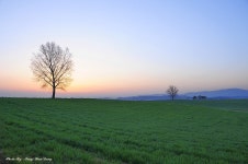 [출사지 정보] 안성목장 소식입니다. - 자유게시판 출사코리아