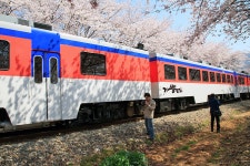 경화역 맞습니다. - 자유게시판 출사코리아