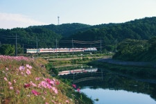 (정보) 좌광천 - 자유게시판 출사코리아