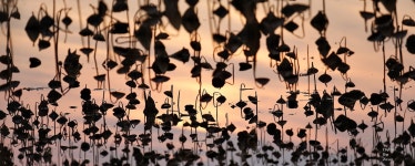 ☆...여가 그가  ...!? - 자유게시판 출사코리아