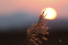 ☆...여가 그가  ...!? - 자유게시판 출사코리아