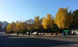 동래 충렬사 함와보이소. - 자유게시판 출사코리아