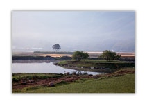 오늘의 평사리 스케치 - 자유게시판 출사코리아