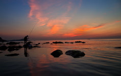 리얼액션의 청사포 - 자유게시판 출사코리아