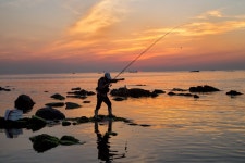 리얼액션의 청사포 - 자유게시판 출사코리아