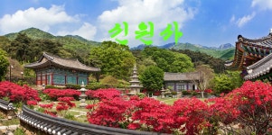 내일 신원사에서 - 자유게시판 출사코리아