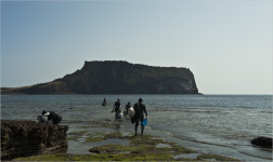 일출봉 시리즈 1편 - 자유게시판 출사코리아