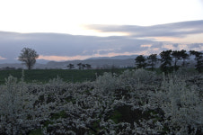 오늘아침 안성목장 - 자유게시판 출사코리아