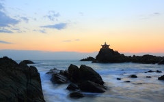 오랑대도 대박^^ - 자유게시판 출사코리아