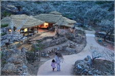 청매실농원의 초가집 - 자유게시판 출사코리아