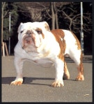 도꾸 성님만 보슈!!~~~.... - 자유게시판 출사코리아