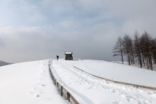 양떼목장 함께했습니다.. - 자유게시판 출사코리아