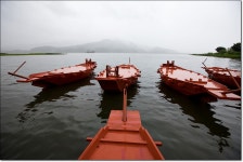 배다리 - 자유게시판 출사코리아