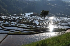 원양제전 출사가실 분 보세요... - 자유게시판 출사코리아