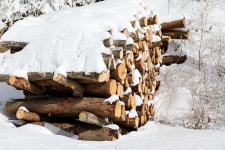 태기산 땔감... - 자유게시판 출사코리아