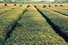 4월 30일 목요일 출석부... - - 자유게시판 출사코리아