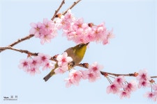 오늘  배화학교 - 자유게시판 출사코리아