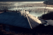 오늘 아침 대청호 나들이 - 자유게시판 출사코리아