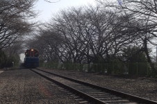 진해  경화역 - 자유게시판 출사코리아