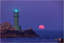 초저녁 오여사 - 자유게시판 출사코리아