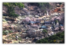 매화마을에 오시면 여기도 들러 보세요.*^_^* - 자유게시판 출사코리아