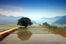 온밤을 지세우기 !!! - 자유게시판 출사코리아