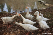 반성 - 자유게시판 출사코리아