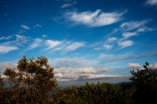 오늘도 태기산에~~ - 자유게시판 출사코리아