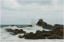 지금 오랑대는... - 자유게시판 출사코리아