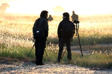 만나면 아웅다웅~~잼나는 절친들..^^ - 자유게시판 출사코리아