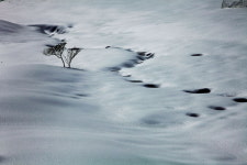 태기산 - 자유게시판 출사코리아