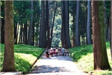 법기수원지 - 자유게시판 출사코리아