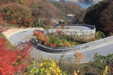 짝퉁 - 자유게시판 출사코리아