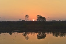 대구 금호강변 여명 - 자유게시판 출사코리아