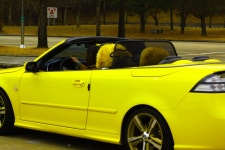 2012년2월27일 출석부~~ - 자유게시판 출사코리아