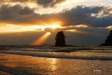 북풍설한 꽃지에서 ,,, - 자유게시판 출사코리아