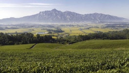 오늘 영암 호남다원입니다. - 자유게시판 출사코리아