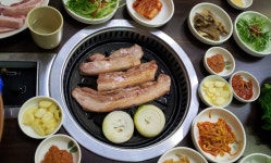 제주도착 하였습니디 - 자유게시판 출사코리아