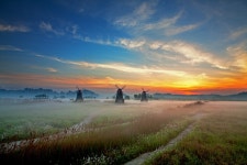 소래 대박... - 자유게시판 출사코리아