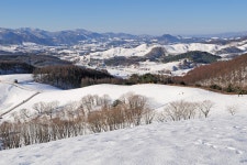 오늘 추암과 양떼목장의 상황입니다. - 자유게시판 출사코리아